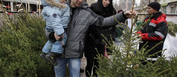 Начало работы елочных базаров в Москве Начало работы елочных базаров в Москве - Sputnik Армения