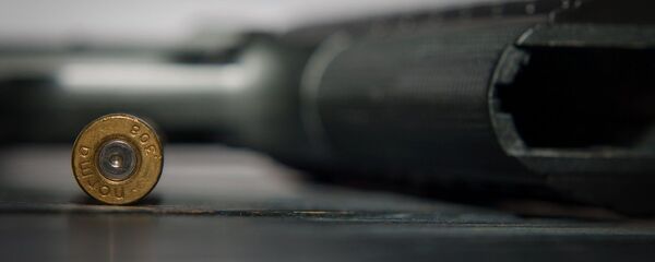 Дробовик - Sputnik Արմենիա