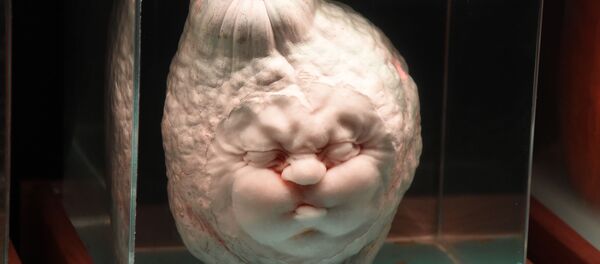 Тыква в виде надутого лица на презентации в США  - Sputnik Армения