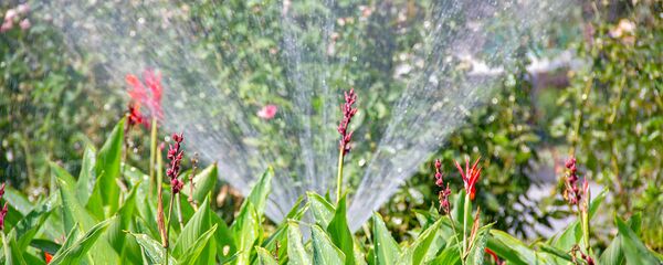 Полив цветов - Sputnik Армения