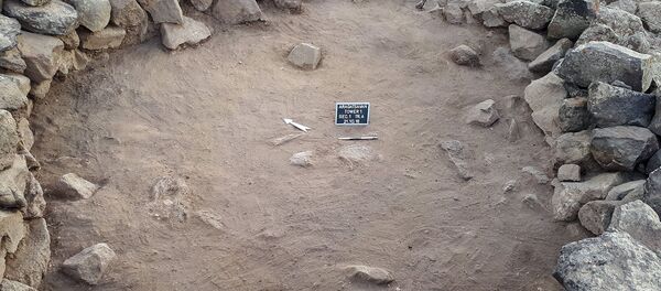 Пустынные змеи найденные армянскими археологами в селе  Арагацаван  - Sputnik Армения