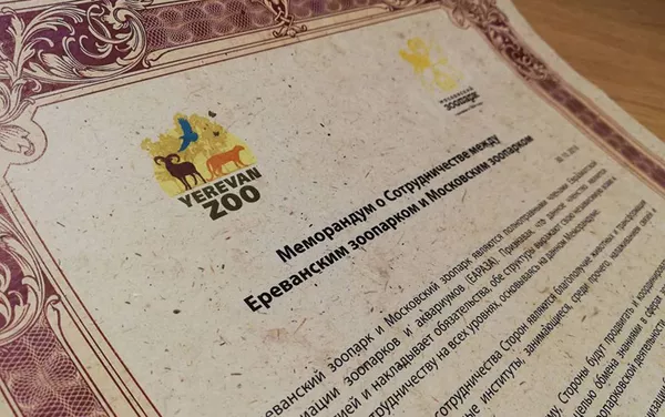Меморандум о сотрудничестве между Ереванским и Московским зоопарками (30 октября 2018). Ереван Меморандум о сотрудничестве между Ереванским и Московским зоопарками (30 октября 2018). Ереван - Sputnik Армения