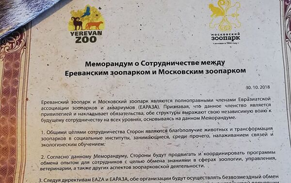 Меморандум о сотрудничестве между Ереванским и Московским зоопарками (30 октября 2018). Ереван - Sputnik Армения