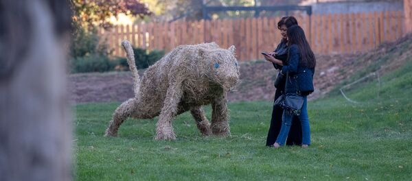  Ереванский зоопарк (30 октября 2018) - Sputnik Армения