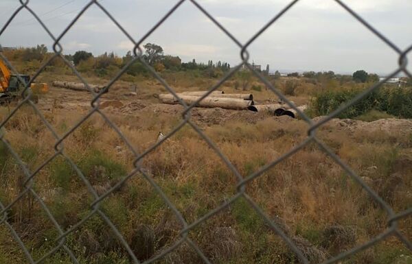 Гиганту армянской химии готовят яичко диетическое – экс-директор Наирита бьет тревогу - Sputnik Армения