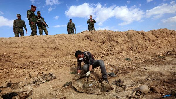 Обнаруженное место массового захоронения недалеко от деревни Синуни, в северо-западной части Синджара (3 февраля 2015). Ирак - Sputnik Армения