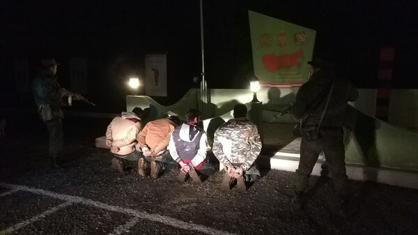 Российские пограничники задержали на границе Армении 4 граждан Индии - Sputnik Армения