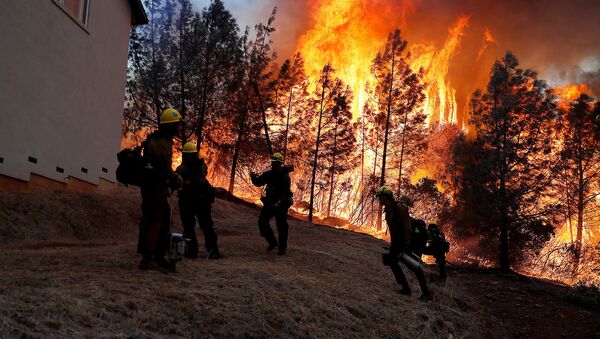 Пожарные Лесной службы США в городе Парадайс, Калифорния (8 ноября 2018). США - Sputnik Արմենիա