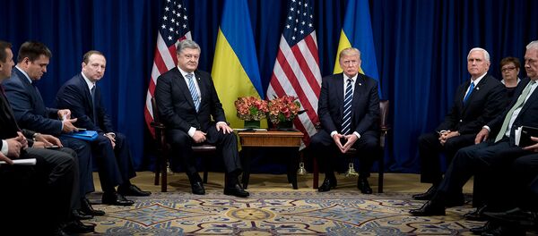 Встреча президентов Украины и США Петра Порошенко и Дональда Трампа в отеле Palace во время 72-й Генеральной Ассамблеи ООН (21 сентября 2017). Нью-Йорк - Sputnik Армения
