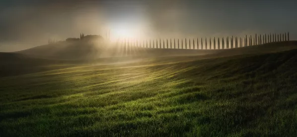 Фотография Combing the Sunlight фотографа Веселина Атанасова, победивший в конкурсе the EPSON International Pano Awards 2018 Фотография Combing the Sunlight фотографа Веселина Атанасова, победивший в конкурсе the EPSON International Pano Awards 2018 - Sputnik Армения