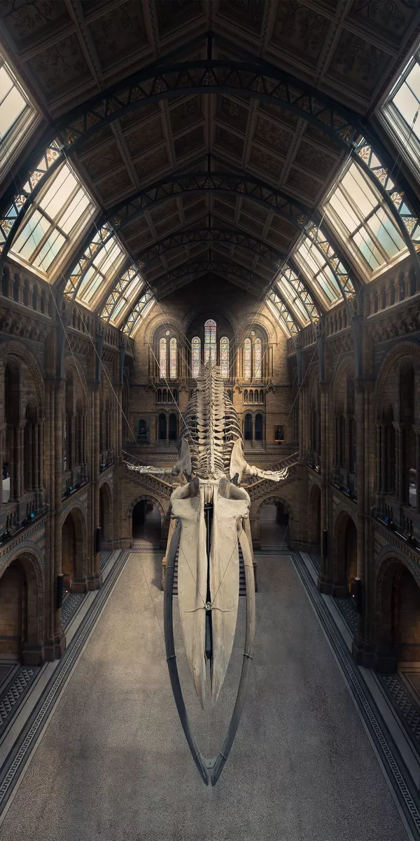 Фотография The Blue Whale фотографа Питера Ли, занявший второе место в категории Amateur Built Environment конкурса the EPSON International Pano Awards 2018 Фотография The Blue Whale фотографа Питера Ли, занявший второе место в категории Amateur Built Environment конкурса the EPSON International Pano Awards 2018 - Sputnik Армения
