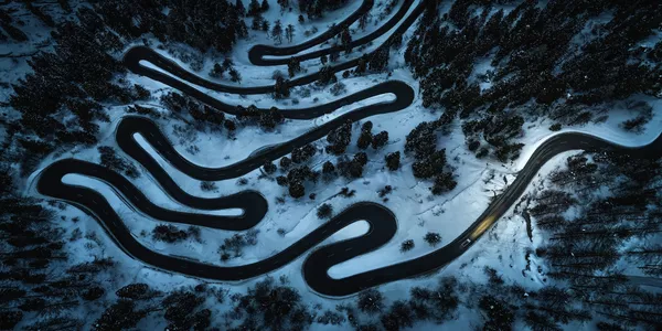 Фотография Black Mamba фотографа Стефана Талера, получивший приз Curator’s Award конкурса the EPSON International Pano Awards 2018 Фотография Black Mamba фотографа Стефана Талера, получивший приз Curator’s Award конкурса the EPSON International Pano Awards 2018 - Sputnik Армения