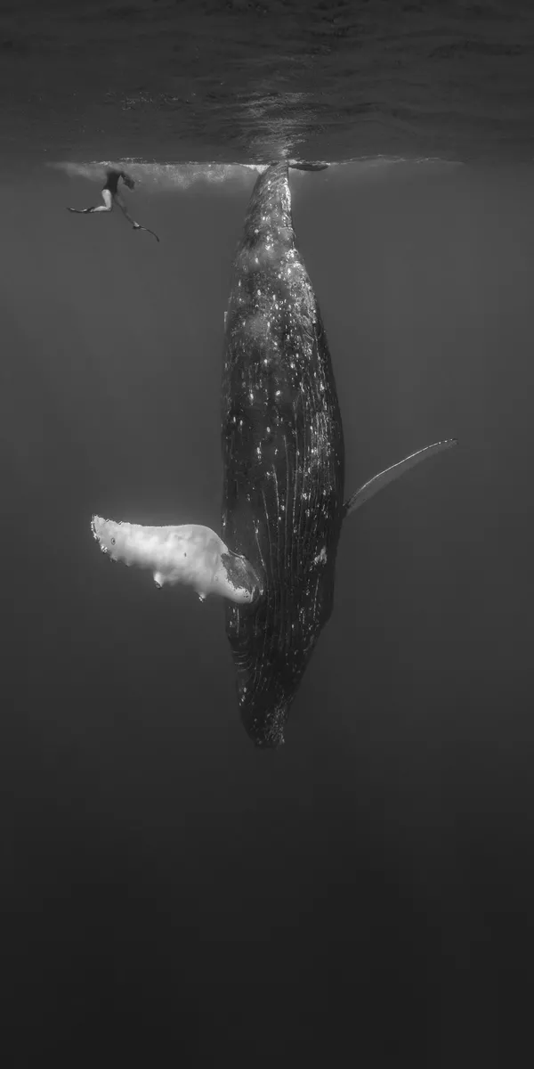 Фотография Just Hangin Out фотографа Kath Salier, вошедший в ТОП-50 категории Amateur Landscape конкурса the EPSON International Pano Awards 2018 Фотография Just Hangin Out фотографа Kath Salier, вошедший в ТОП-50 категории Amateur Landscape конкурса the EPSON International Pano Awards 2018 - Sputnik Армения