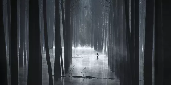 Фотография Las Sombras Del Pantano фотографа Мариано Белмар Тоорречила, вошедший в ТОП-50 категории Open Built Environment конкурса the EPSON International Pano Awards 2018 Фотография Las Sombras Del Pantano фотографа Мариано Белмар Тоорречила, вошедший в ТОП-50 категории Open Built Environment конкурса the EPSON International Pano Awards 2018 - Sputnik Армения