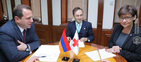 И.о. министра обороны Давид Тоноян принял главу Международного Комитета Красного Креста в Армении Клэр Мейтро (14 ноября 2018). Еревaн - Sputnik Արմենիա