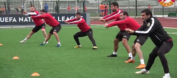 Тренировка сборной Армении Тренировка сборной Армении - Sputnik Արմենիա