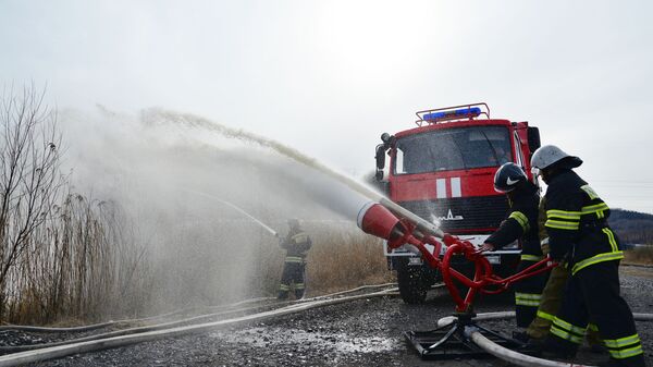Учения МЧС по тушению лесных пожаров в Хабаровске - Sputnik Արմենիա