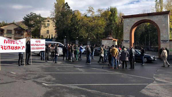 Акция протеста перед ереванским зоопарком (17 ноября 2018). Еревaн - Sputnik Армения