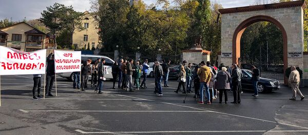 Акция протеста перед ереванским зоопарком (17 ноября 2018). Еревaн - Sputnik Армения