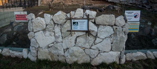 Вольера тигров еревaнского зоопарка - Sputnik Արմենիա