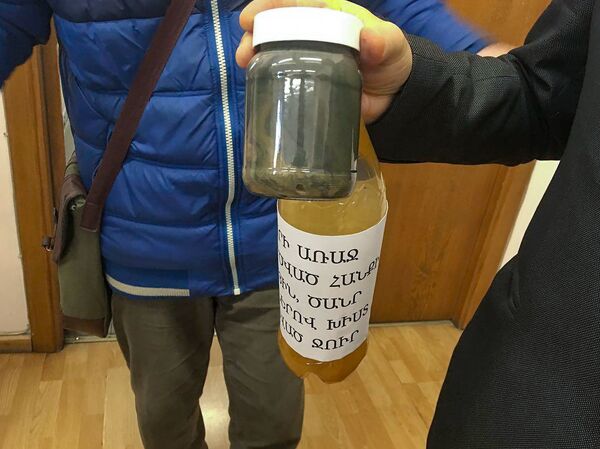 Экологи устроили бучу в министерстве и оставили подарок Григоряну - Sputnik Армения