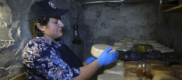 Միքայելյանների ընտանիքը պանրի նոր տեսակներ է մշակում Գեղարքունիքի մարզում - Sputnik Արմենիա