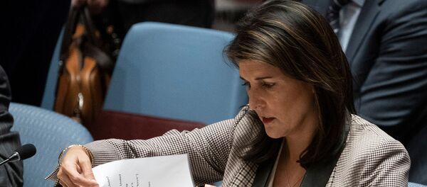 Постпред США в ООН Никки Хейли во время заседания Совета Безопасности ООН по Украине (26 ноября 2018). Нью-Йорк - Sputnik Армения