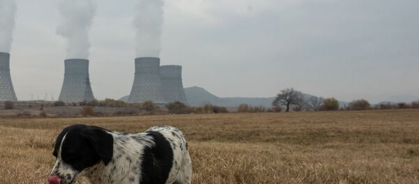 Армянская атомная электростанция - Sputnik Արմենիա