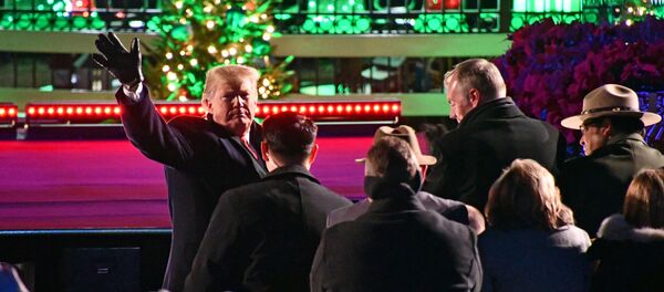 Президент США Дональд Трамп с супругой Меланией на торжественной церемонии зажжения Национальной рождественской елки в парке перед Белым домом (28 ноября 2018). Вашингтон - Sputnik Армения