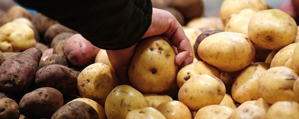 Картофель на прилавке - Sputnik Армения