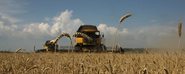 Уборка зерновых на Юге России - Sputnik Արմենիա