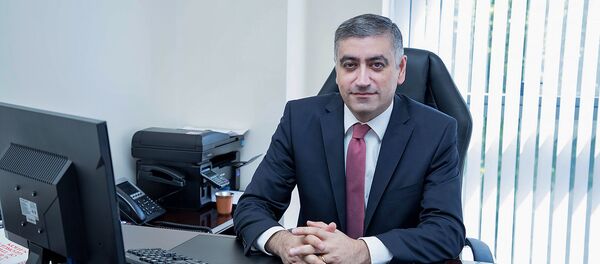 Чрезвычайный и полномочный посол Армении в Австрии Армен Папикян - Sputnik Արմենիա