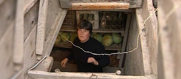 Картошка, капуста, датчики: как двадцать лет назад в Спитаке фиксировали силу толчков - Sputnik Армения