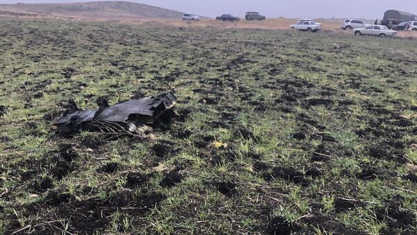 Поисково-спасательные работы на месте авиакатастрофы СУ-25, Ширакская область - Sputnik Армения