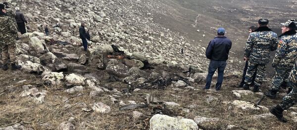 Поисково-спасательные работы на месте авиакатастрофы СУ-25, Ширакская область - Sputnik Армения