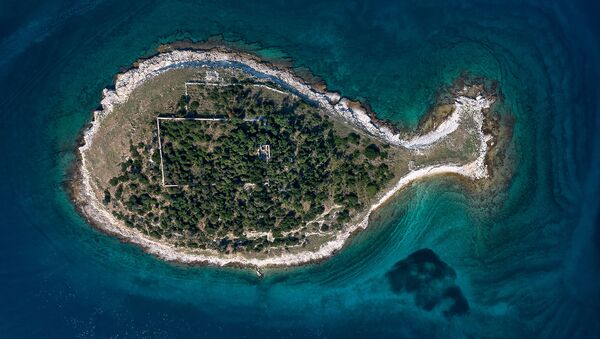 Остров в виде рыбы архипелага Бриони, Хорватия - Sputnik Армения