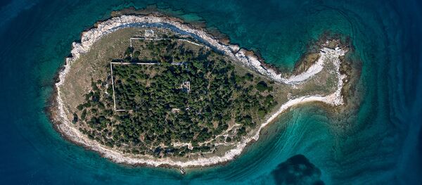 Остров в виде рыбы архипелага Бриони, Хорватия Остров в виде рыбы архипелага Бриони, Хорватия - Sputnik Արմենիա