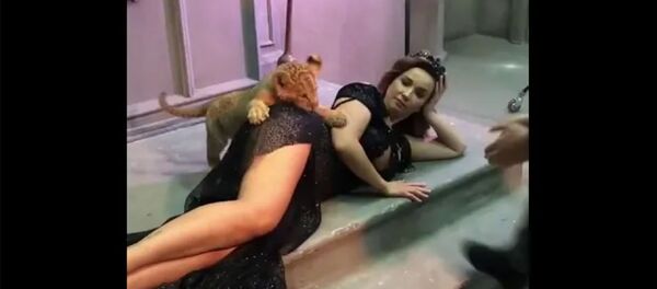 Укусил за попу Анфису Чехову на фотосессии Укусил за попу Анфису Чехову на фотосессии - Sputnik Армения