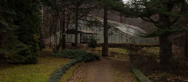 Степанаванский дендропарк - Sputnik Արմենիա