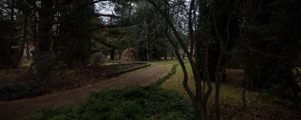 Степанаванский дендропарк Степанаванский дендропарк - Sputnik Արմենիա