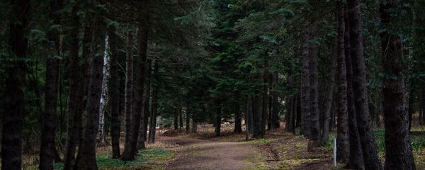 Степанаванский дендропарк - Sputnik Արմենիա