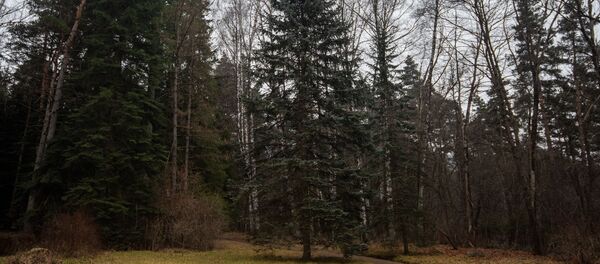 Степанаванский дендропарк - Sputnik Армения