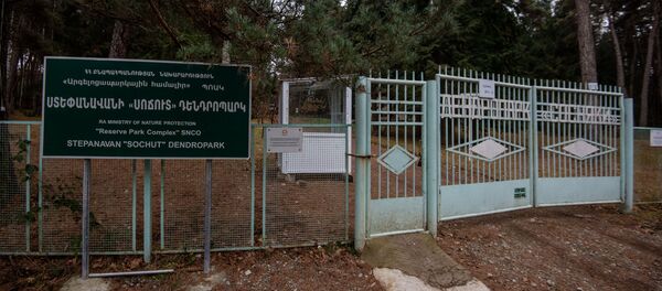 Степанаванский дендропарк - Sputnik Արմենիա