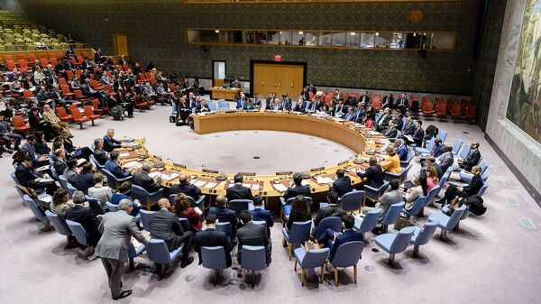 Совет Безопасности ООН рассматривает письменное обращение постоянного представителя Сербии при ООН (17 декабря 2018). Нью-Йорк - Sputnik Армения
