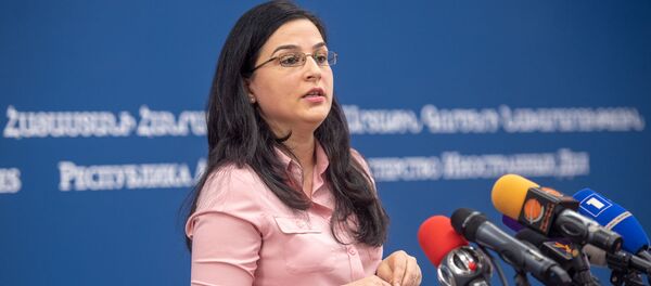 Пресс-конференция спикера МИД Армении Анны Нагдалян (20 декабря 2018). Еревaн - Sputnik Армения