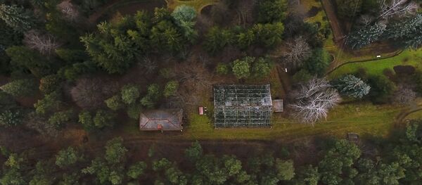 Ստեփանավանի դենդրոպարկի տնօրեն Վիտալի Լեոնովիչն ասաց, թե ինչպես է պետք խնամել արծաթափայլ եղևնին Ստեփանավանի դենդրոպարկի տնօրեն Վիտալի Լեոնովիչն ասաց, թե ինչպես է պետք խնամել արծաթափայլ եղևնին - Sputnik Արմենիա