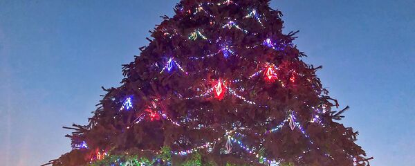 Торжественное включение огней новогодней елки в Гюмри (20 декабря 2018). Ширак Торжественное включение огней новогодней елки в Гюмри (20 декабря 2018). Ширак - Sputnik Արմենիա