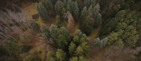 Ինչով է գրավում Ստեփանավանի դենդրոպարկը Ինչով է գրավում Ստեփանավանի դենդրոպարկը - Sputnik Արմենիա