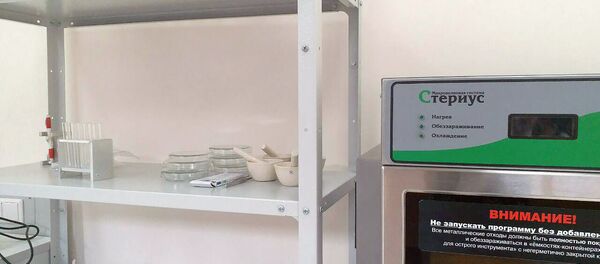 Лаборатория Айрума при Инспекции по безопасности пищевых продуктов Армении - Sputnik Армения