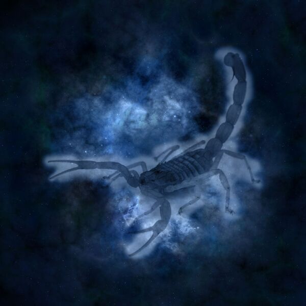 2019 թվականի հորոսկոպ. ինչպիսի՞ն կլինի Խոզի տարին Կենդանակերպի նշանների համար - Sputnik Արմենիա